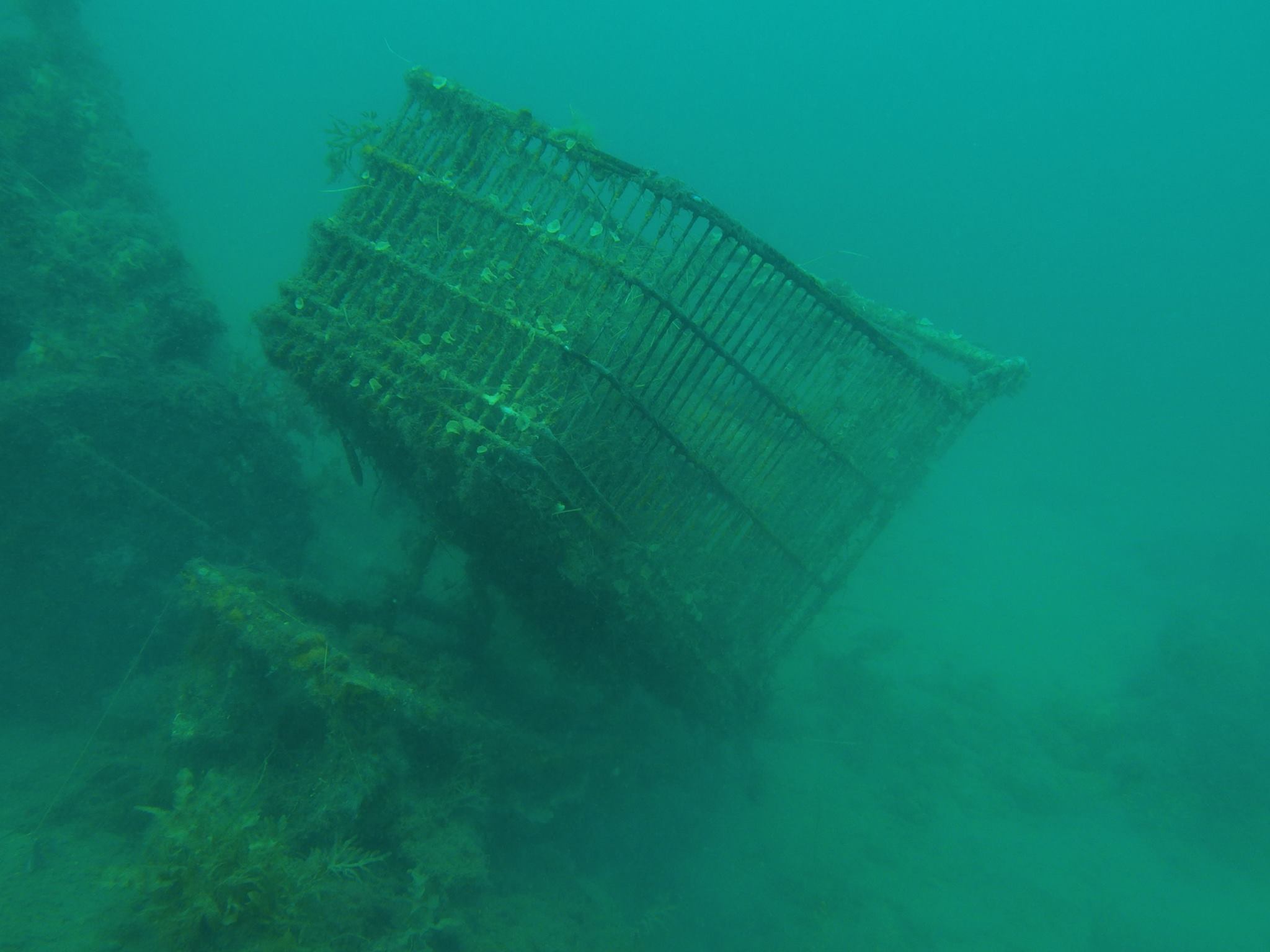 Marine Debris Dive Day