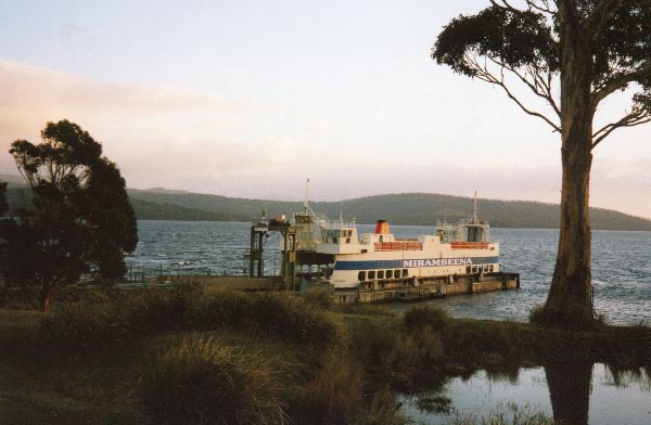 D'Entrecasteaux Channel Night Dive